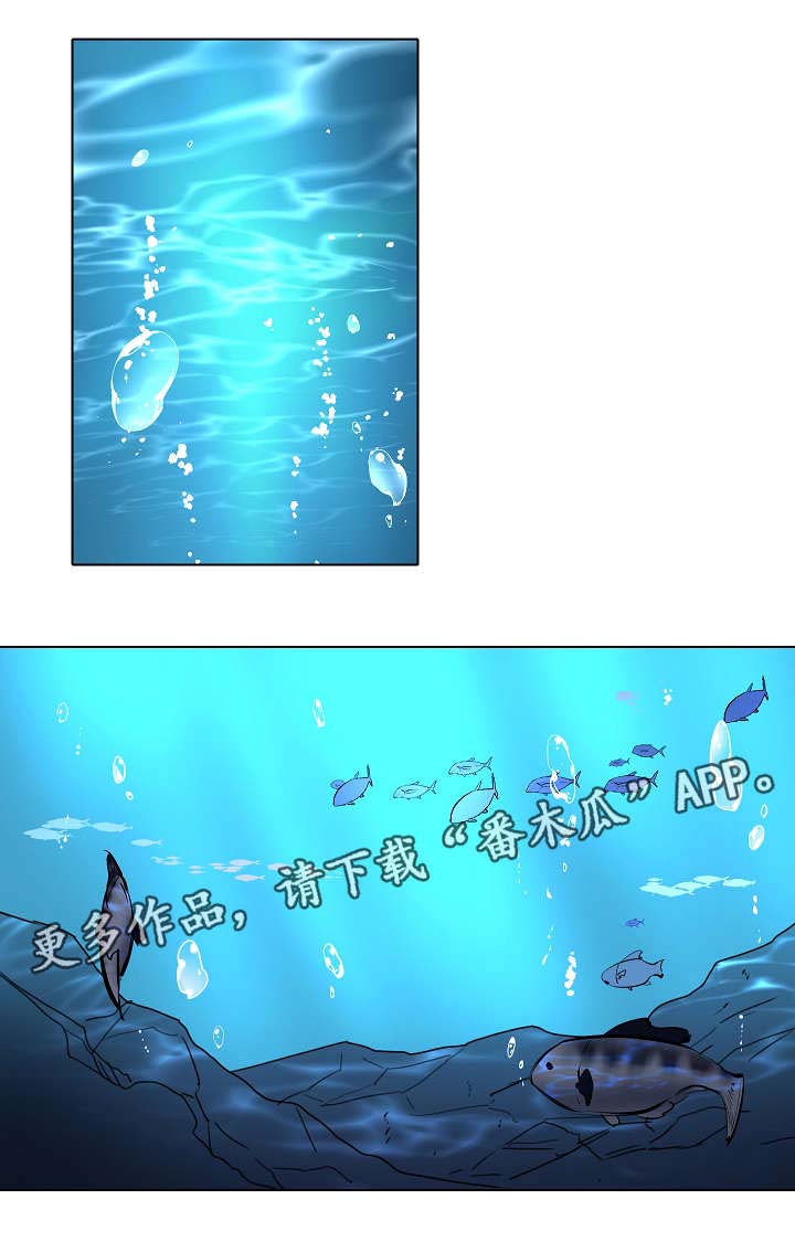 人鱼的泪水第16话图
