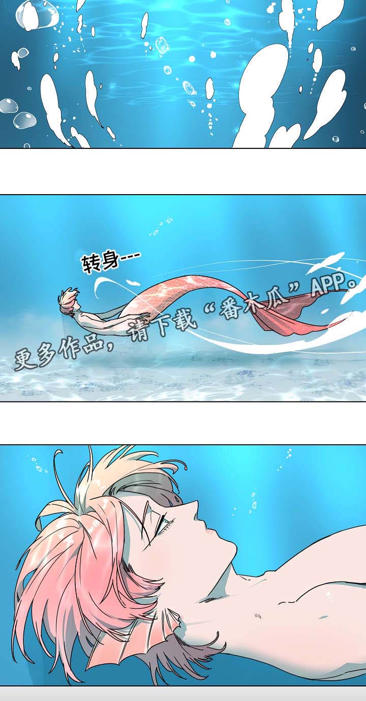 人鱼的泪水 第16话 第2页