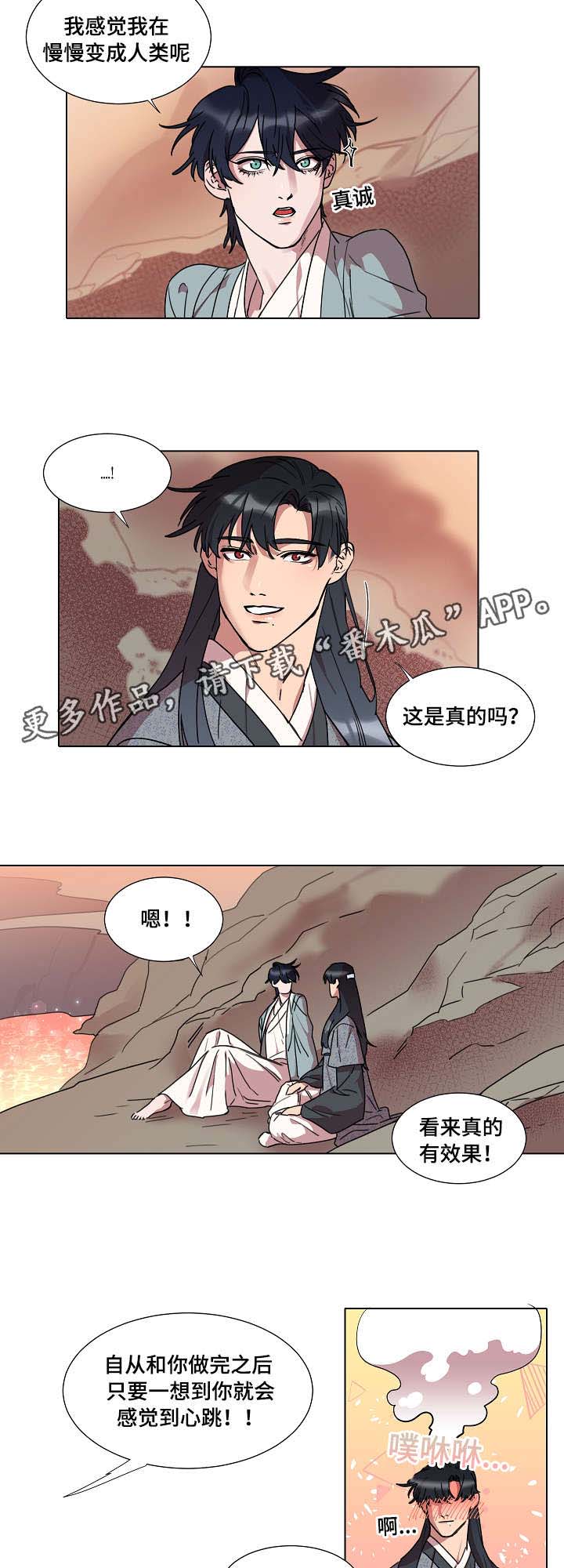 人鱼的泪水 第19话 第3页