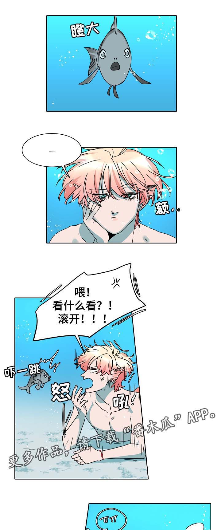 人鱼的泪水 第37话 第0页