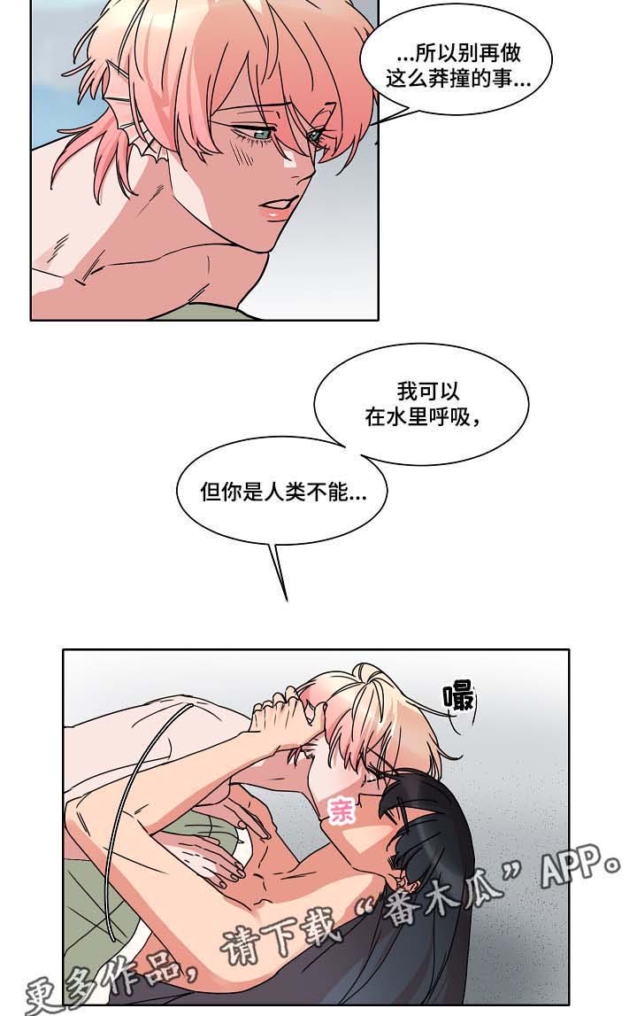 人鱼的泪水 第37话 第5页