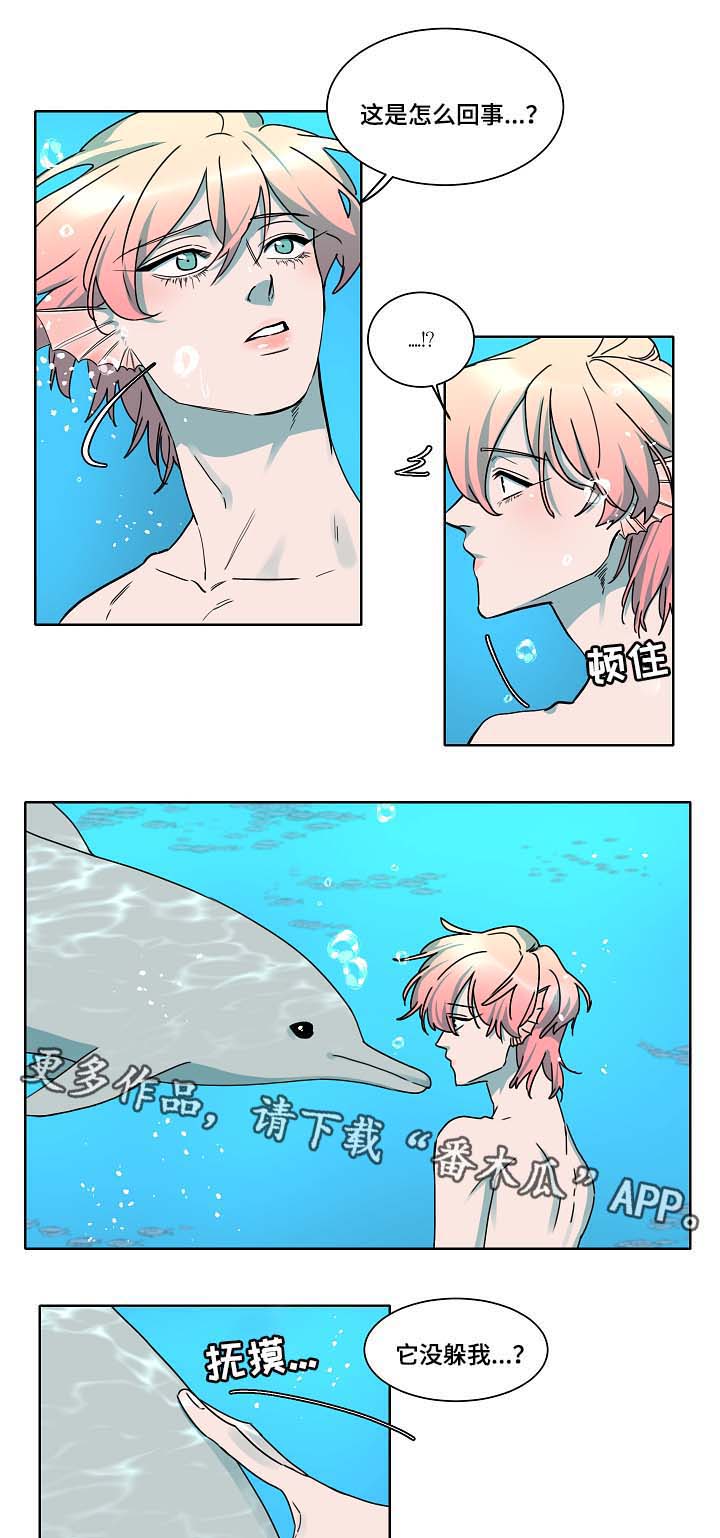 人鱼的泪水 第38话 第5页