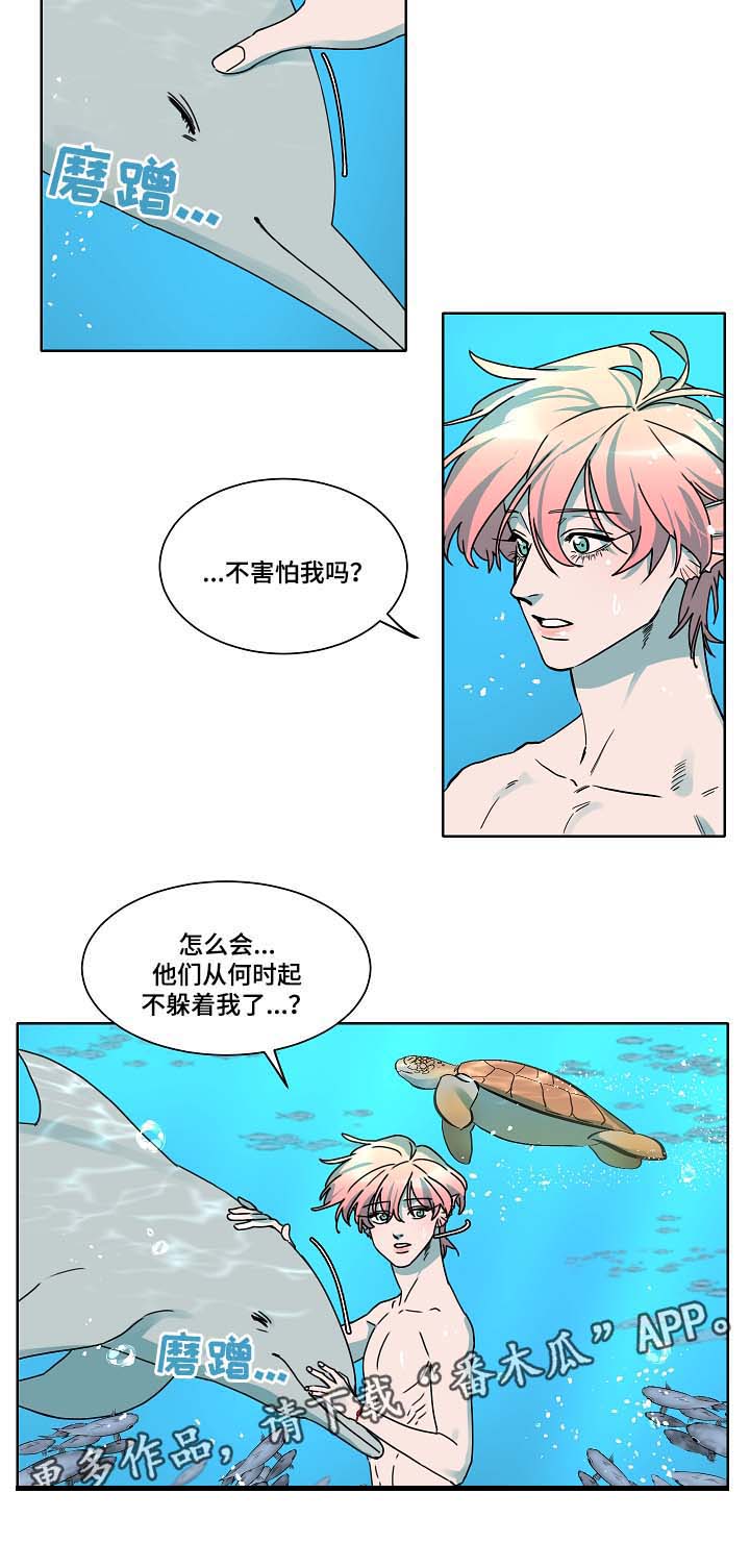 人鱼的泪水 第38话 第6页