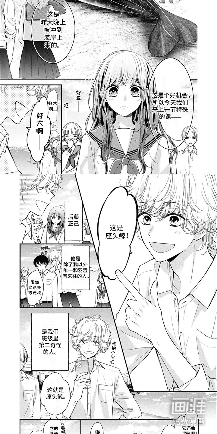 人鱼公主的谎言第1话图