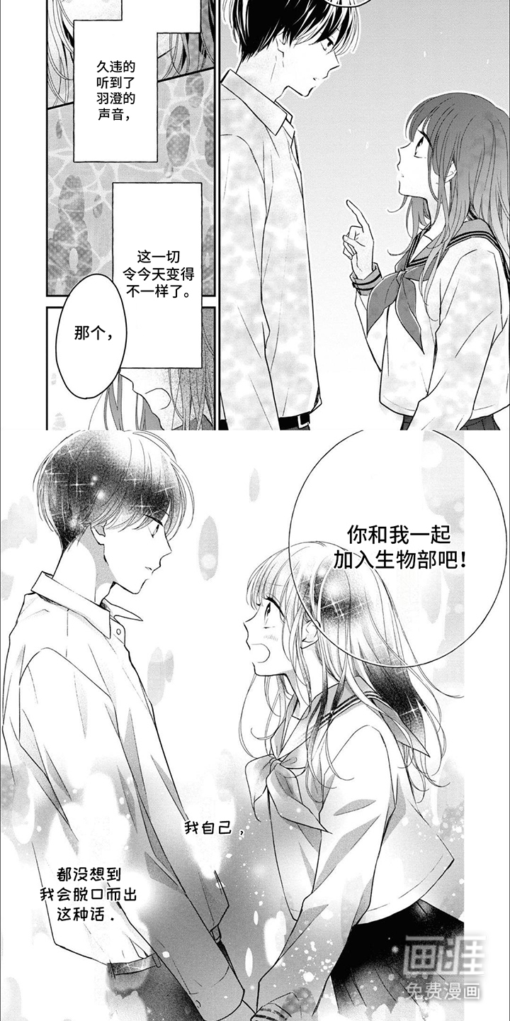 人鱼公主的谎言第4话图