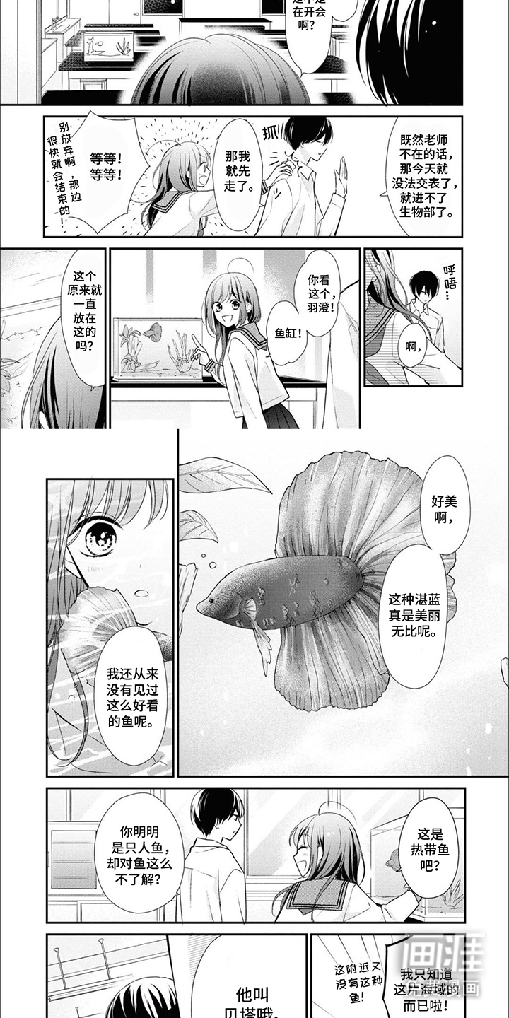 人鱼公主的谎言第5话图