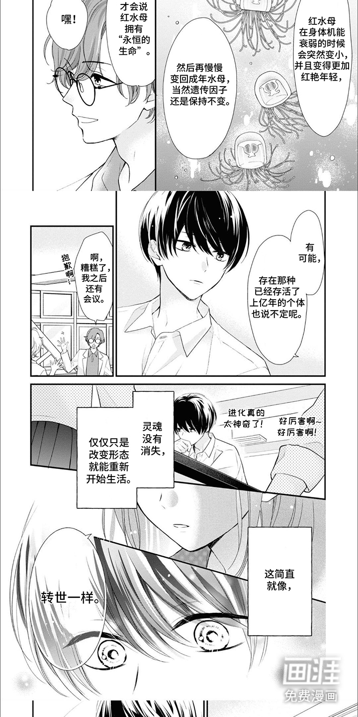 人鱼公主的谎言第9话图