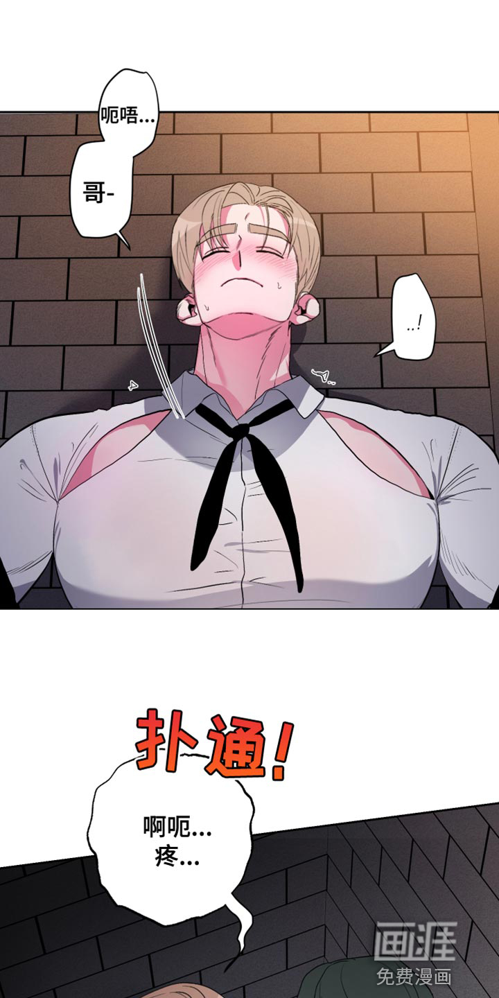 柔道男友第33话图