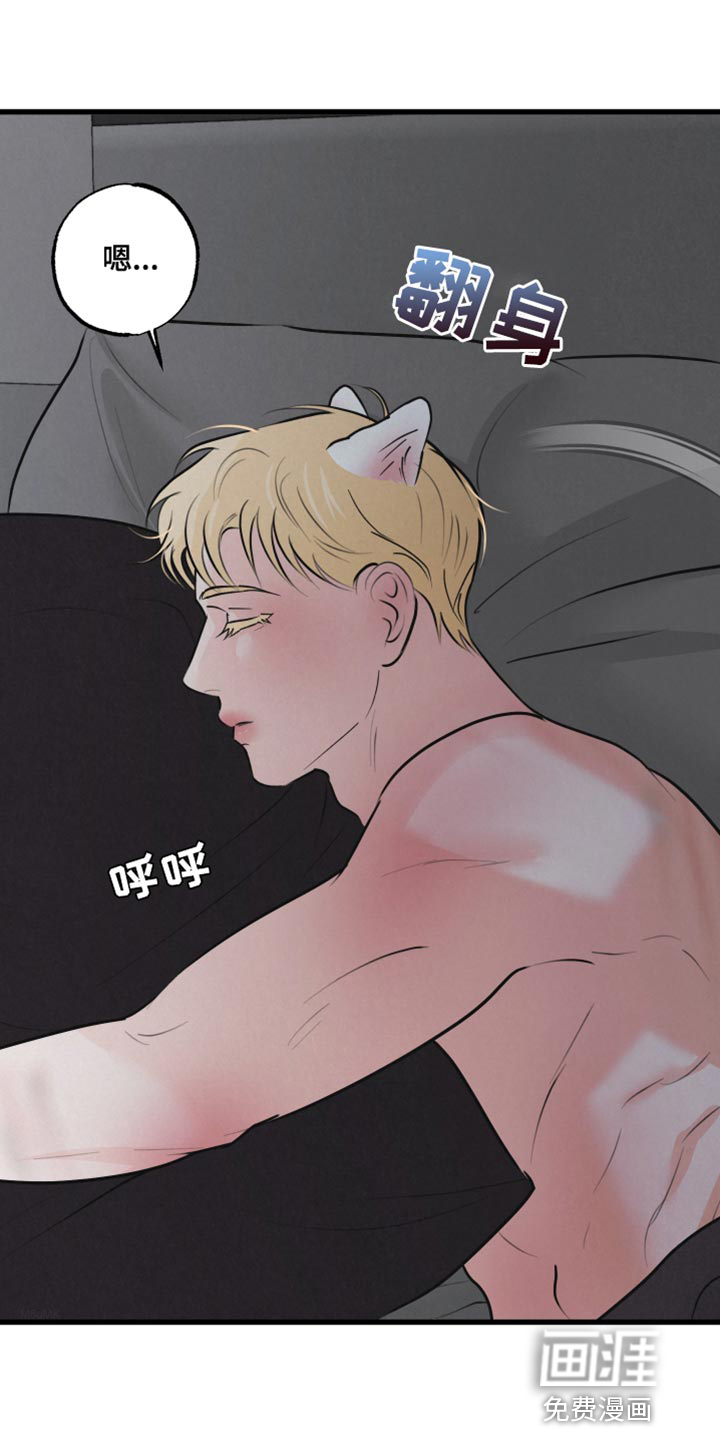 热量狂飙第13话图