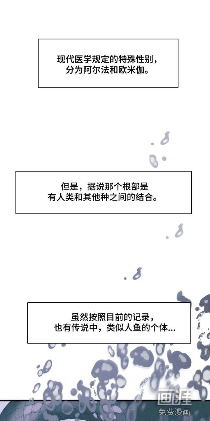 热量狂飙第14话图