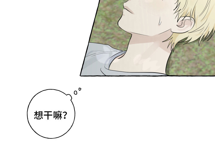 热烈明阳第13话图