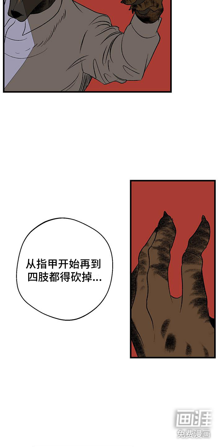 融化你第17话图