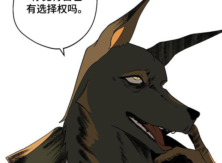 融化你第29话图