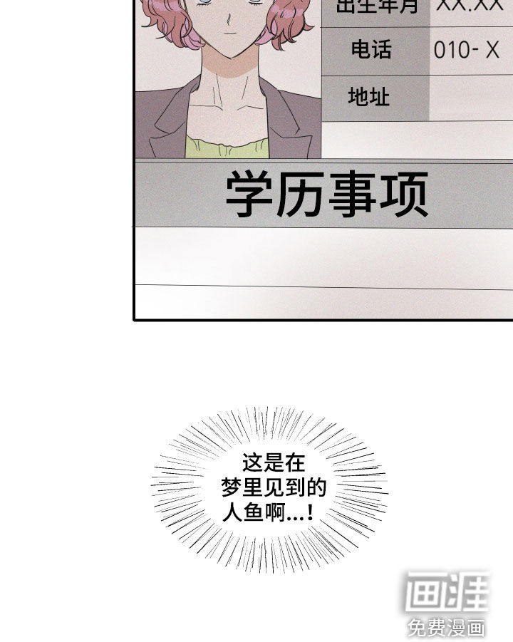 人鱼海第21话图