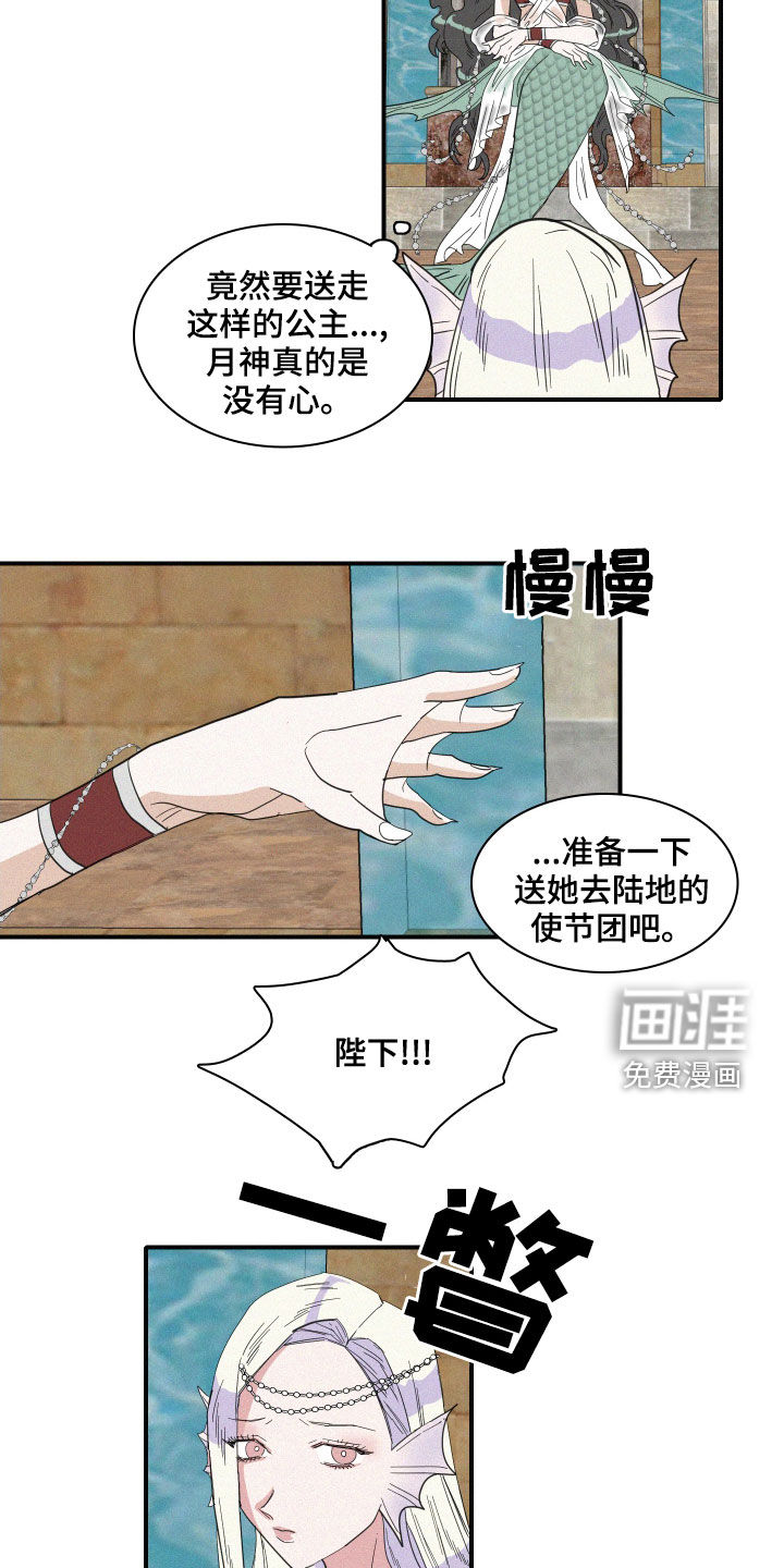 人鱼海第39话图