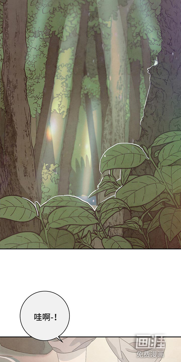 染成靛蓝第32话图