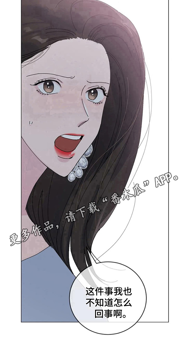 认真了解我第13话图