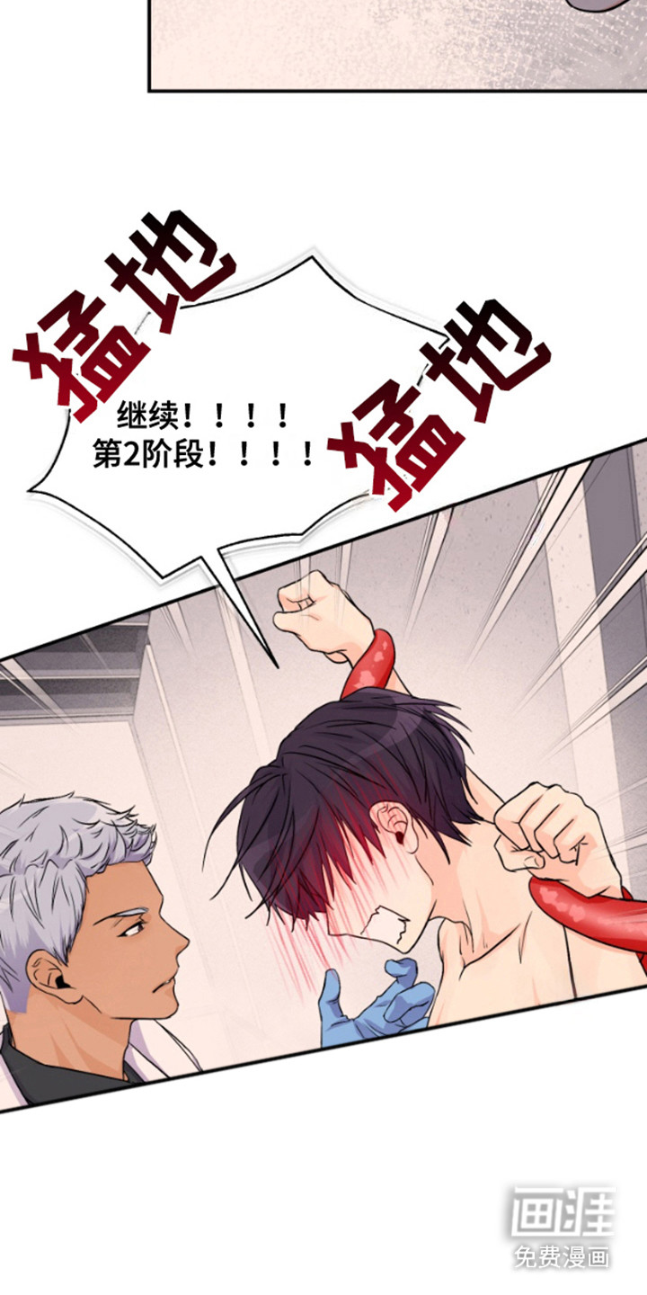 柔软实验第5话图