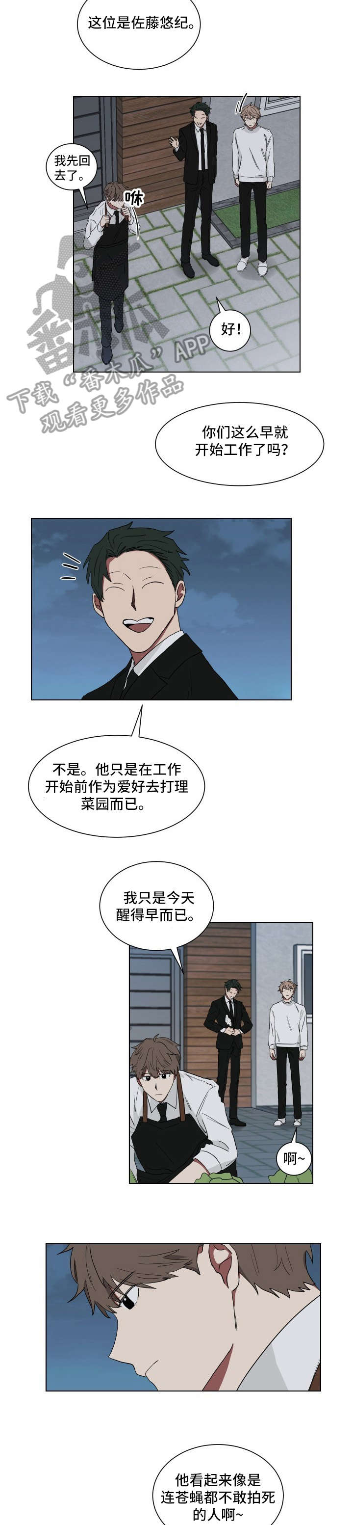 如果你喜欢第11话图