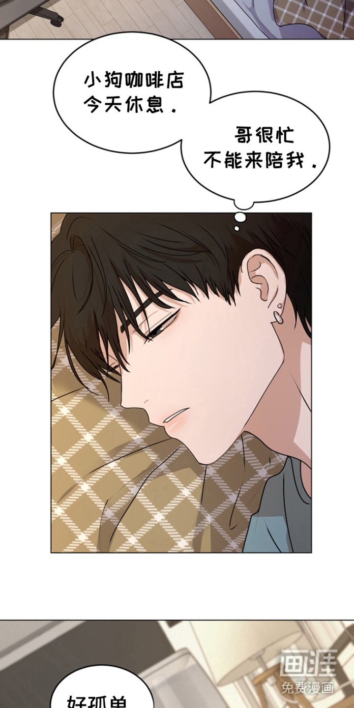 融情曲奇第12话图