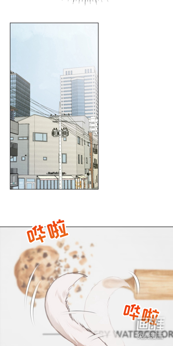 融情曲奇第15话图