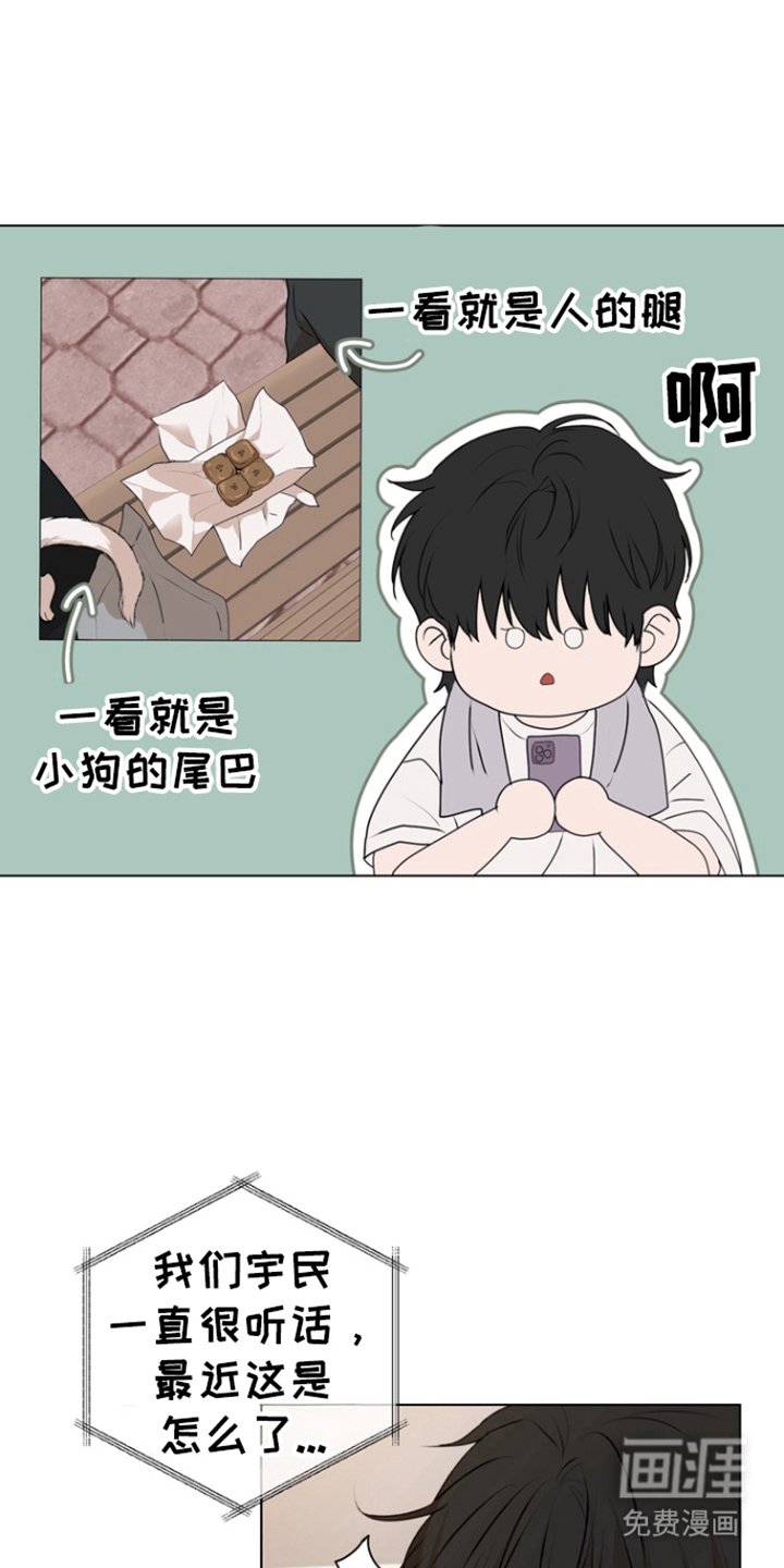 融情曲奇第18话图