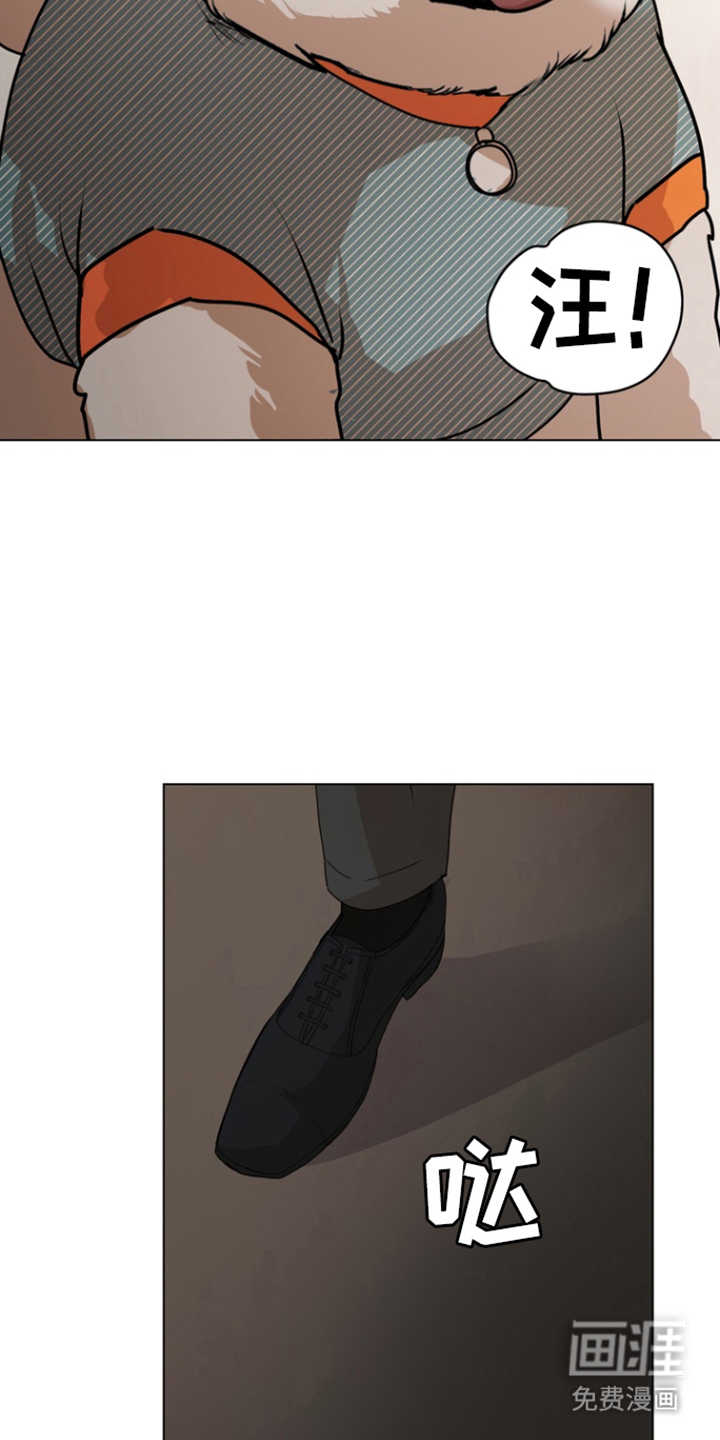 融情曲奇第18话图