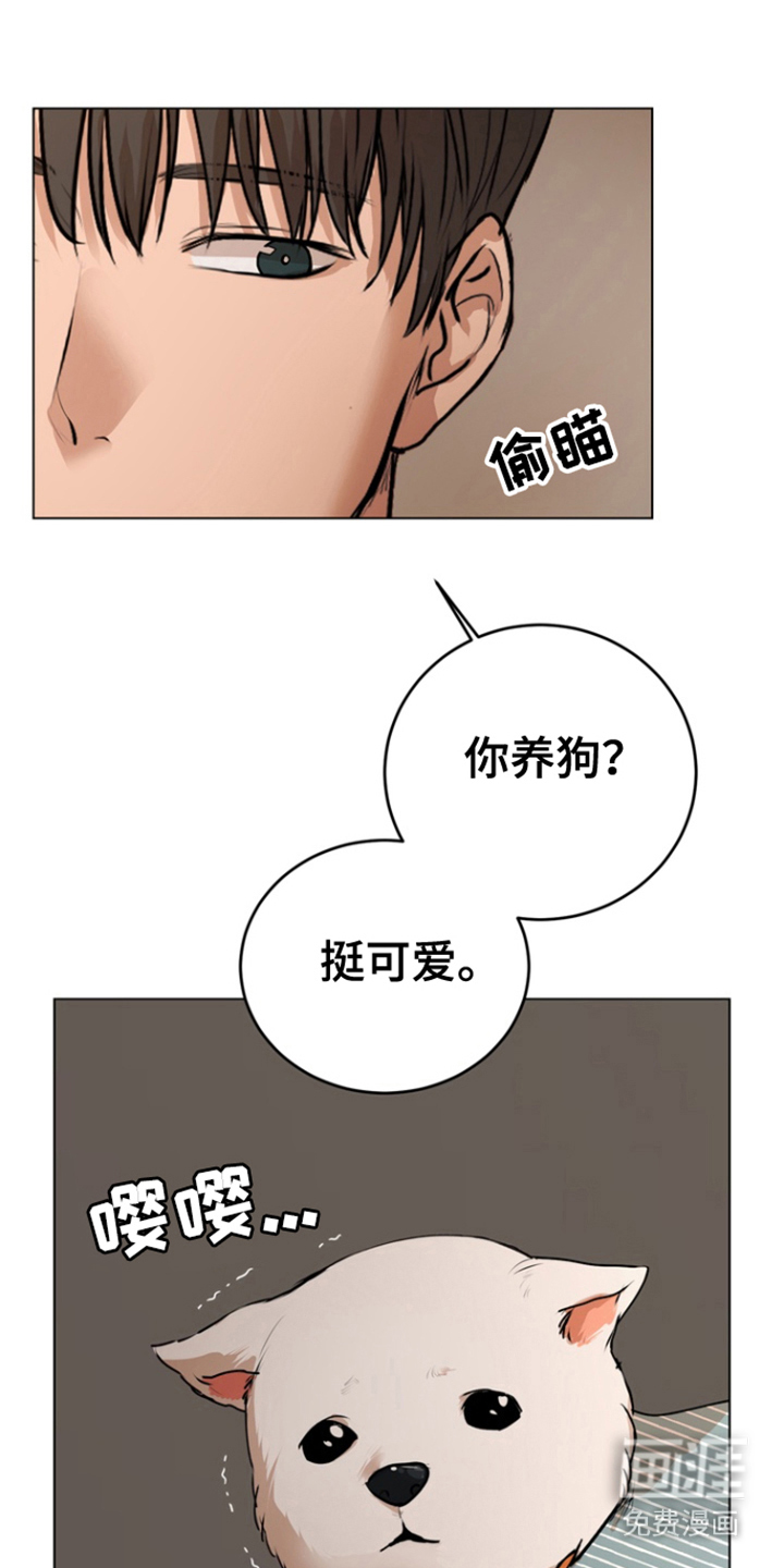 融情曲奇第19话图