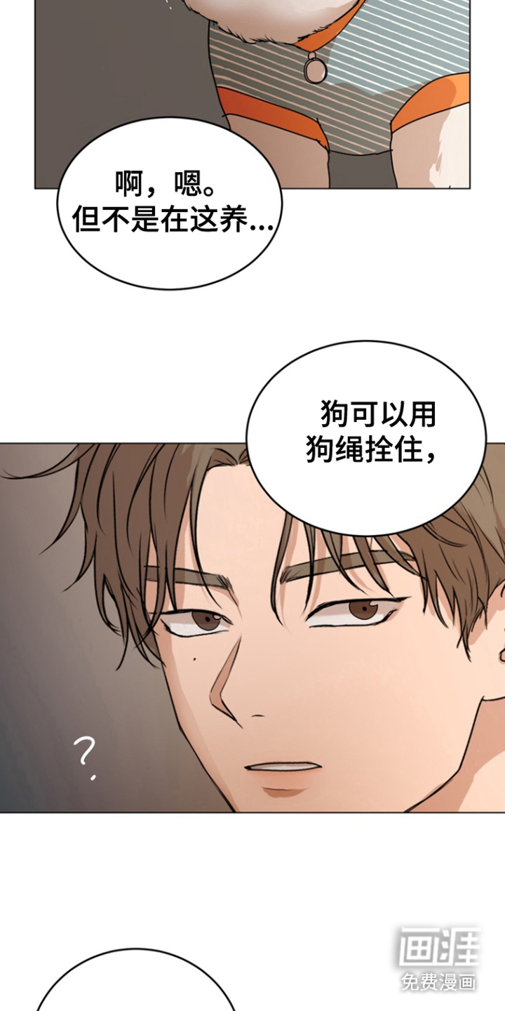 融情曲奇第19话图