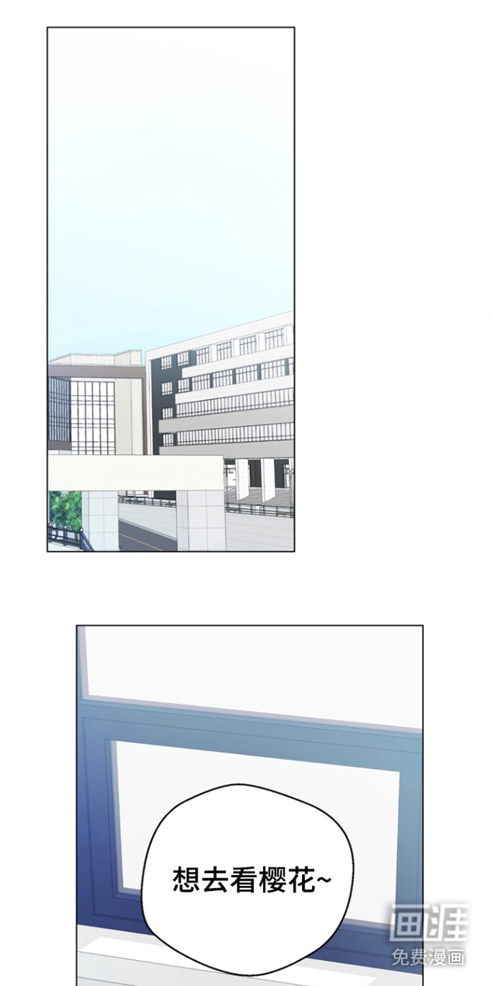 融情曲奇第24话图