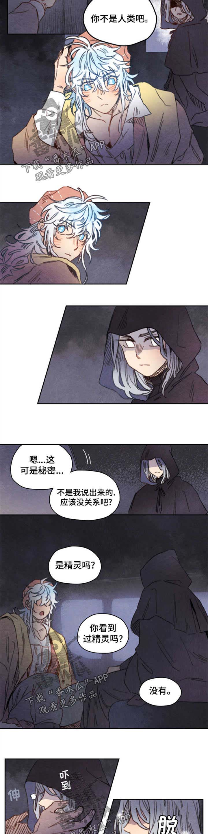 瑞克斯的诅咒第31话图