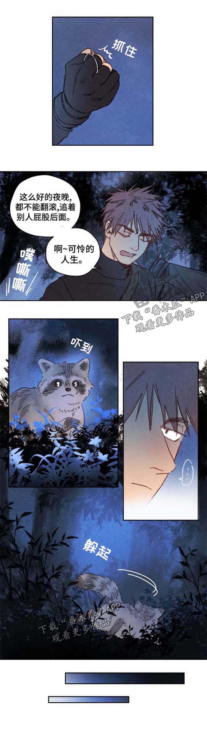 瑞克斯的诅咒第42话图