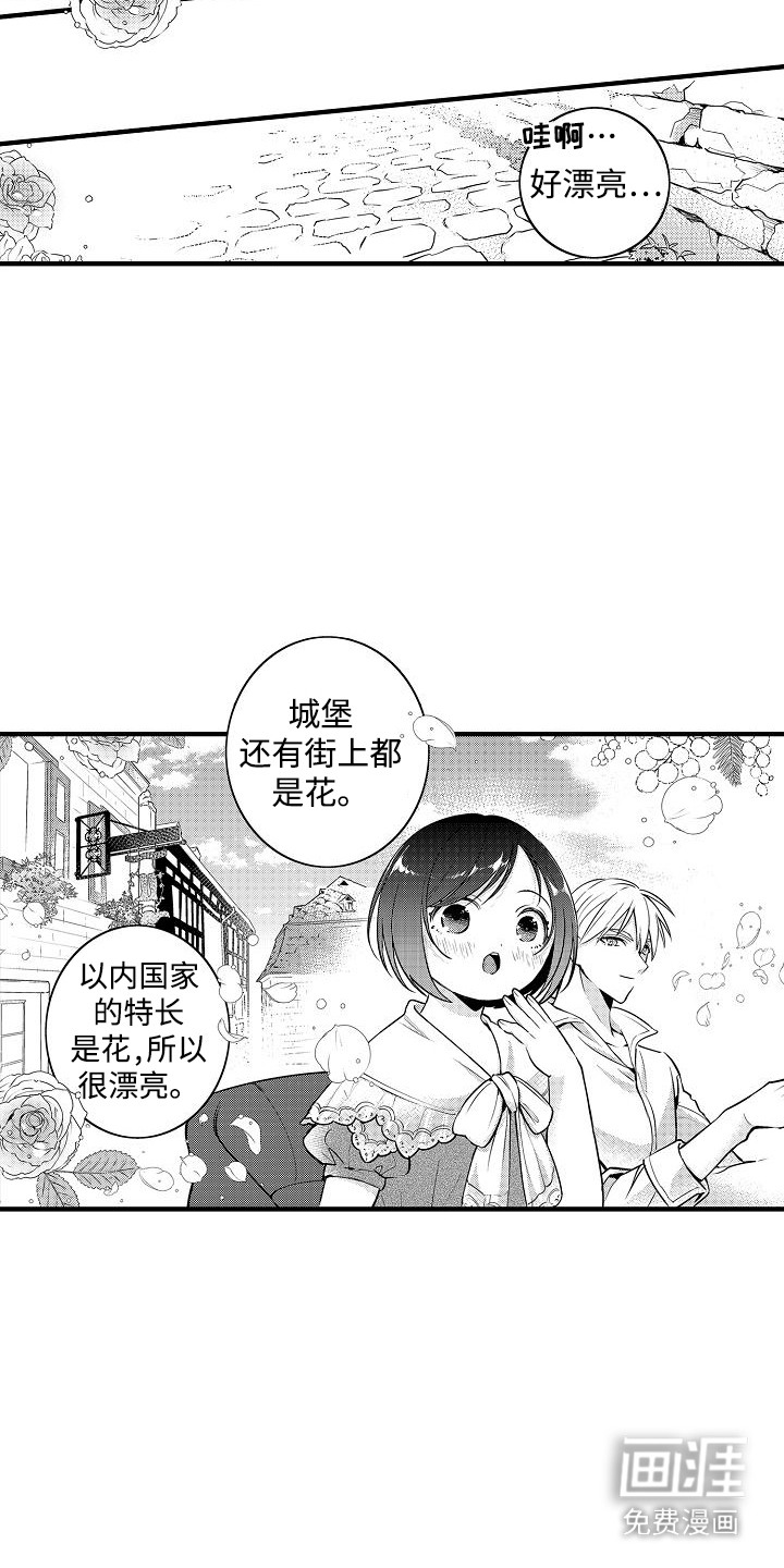 肉肉王妃第9话图