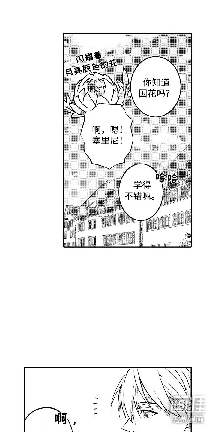 肉肉王妃第9话图