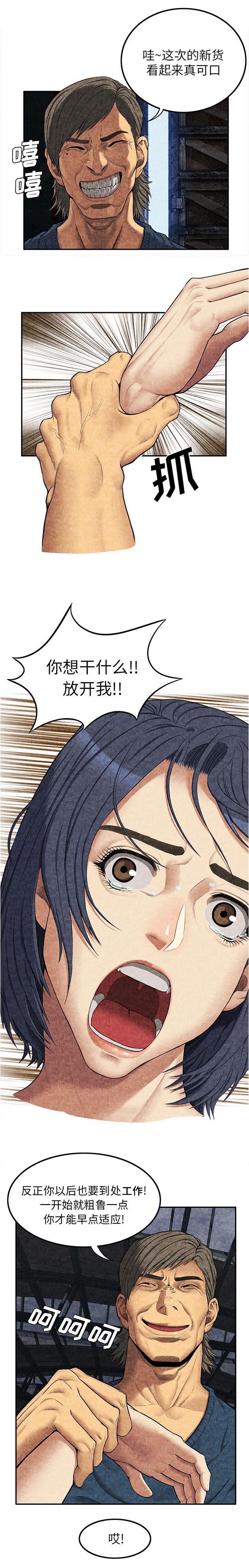 任职凤凰村第14话图