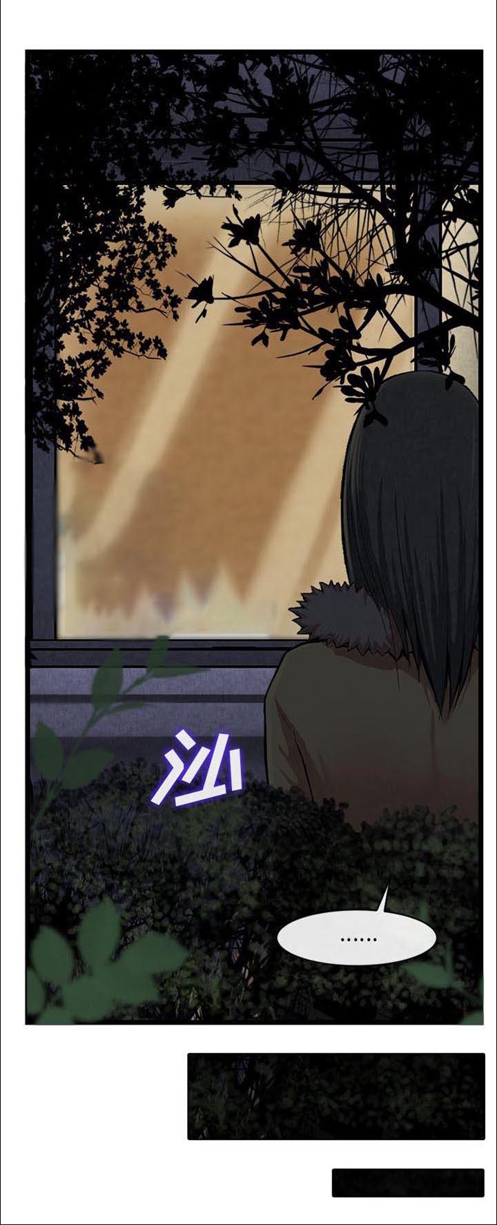 任职凤凰村第26话图