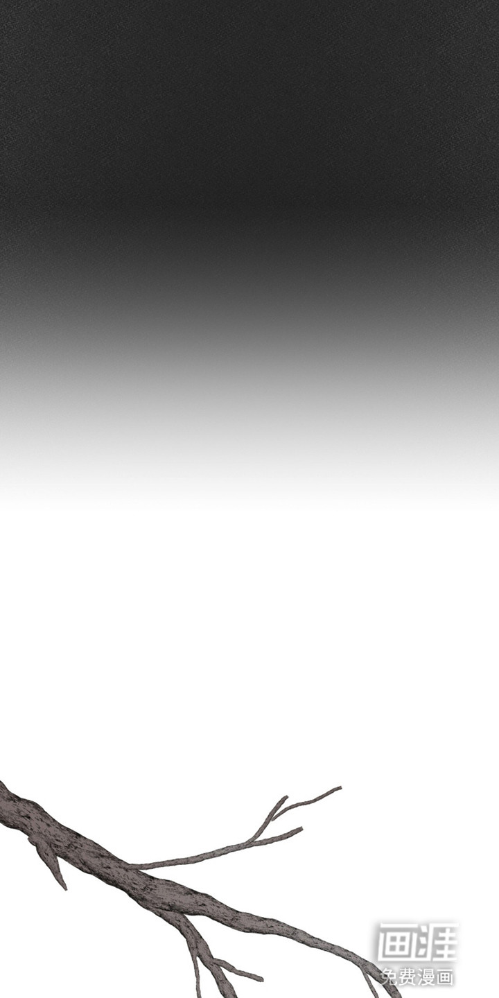 如意珠第10话图