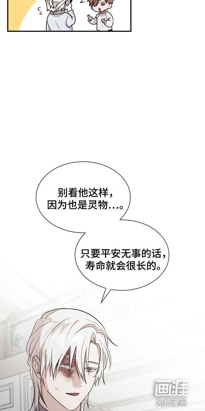 如意珠 第13话 第3页