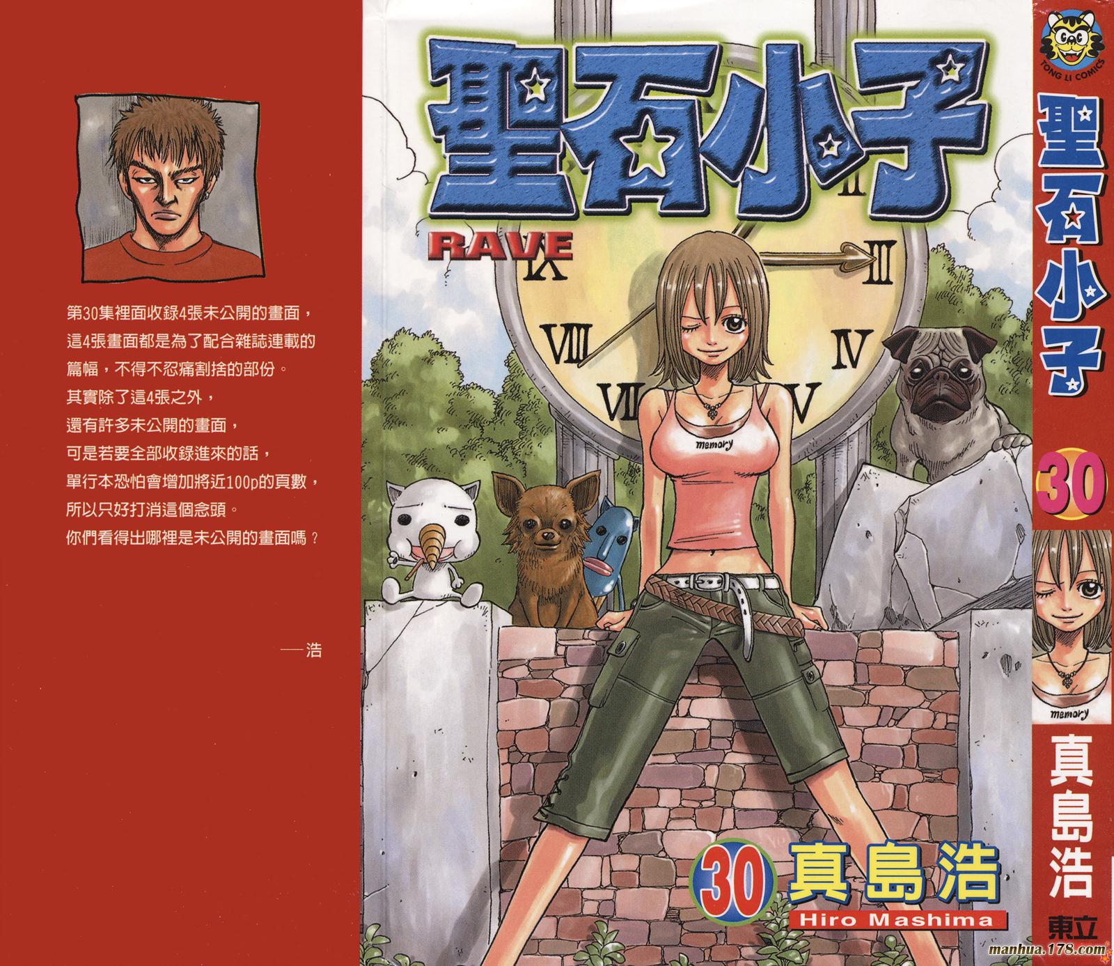 Rave圣石小子第30卷图