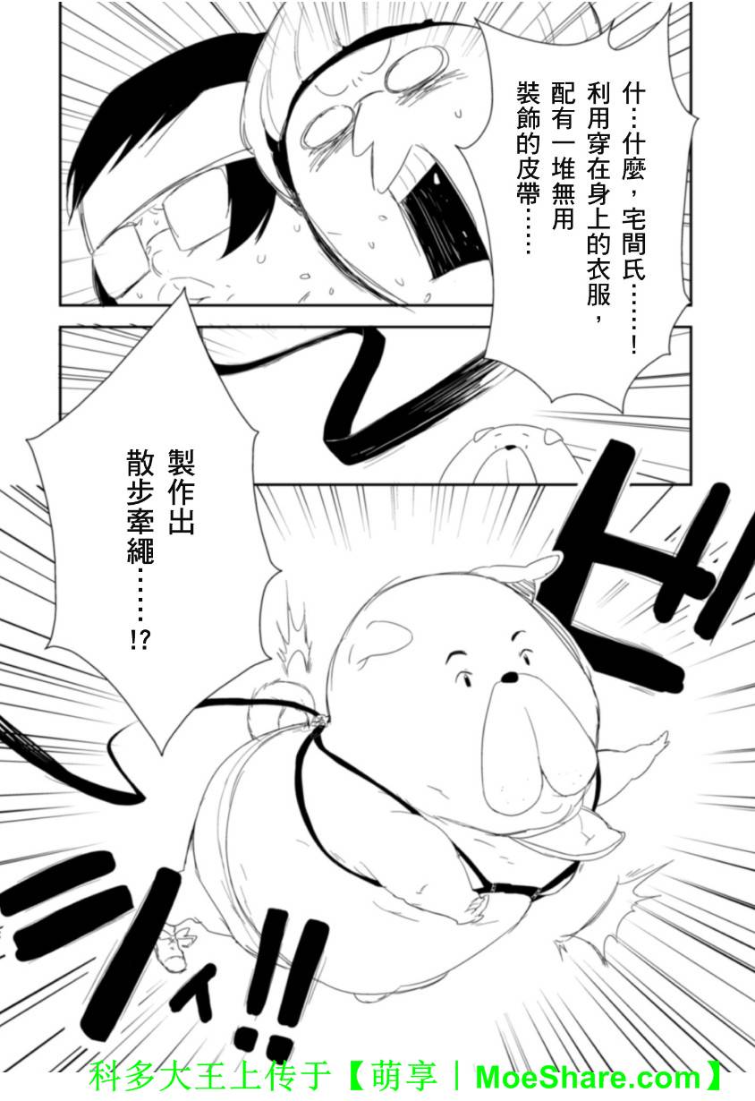 Re：魔法少女第14话图