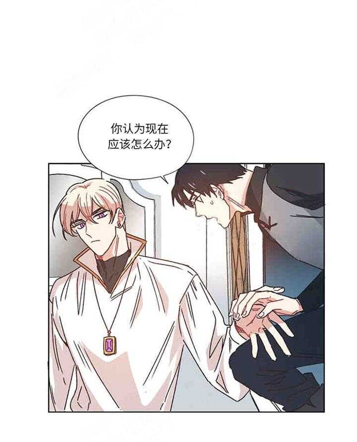 属于我的骑士 第16话 第11页