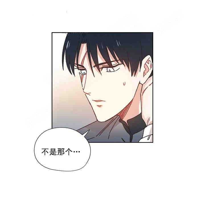 属于我的骑士第17话图