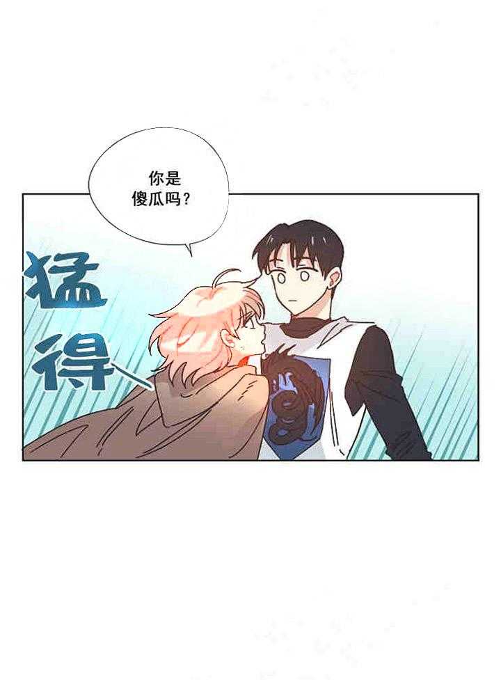 属于我的骑士 第20话 第5页