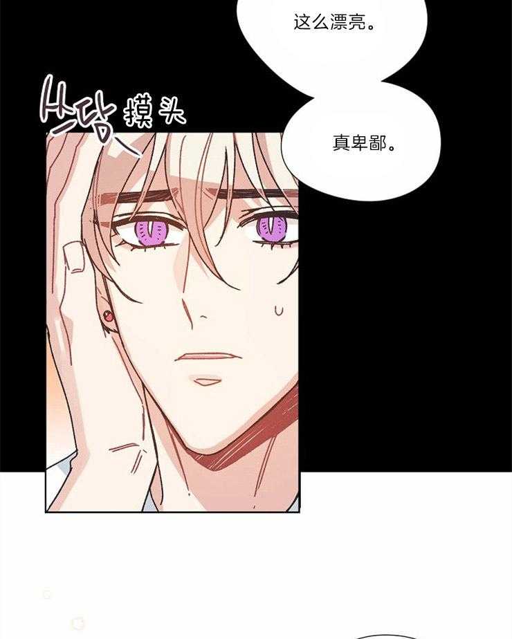 属于我的骑士 第33话 第12页