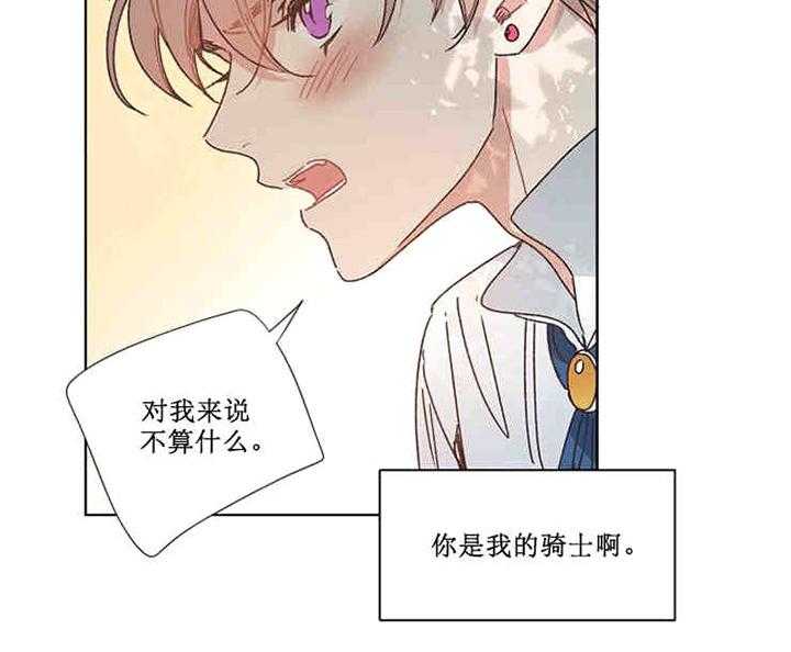 属于我的骑士第4话图