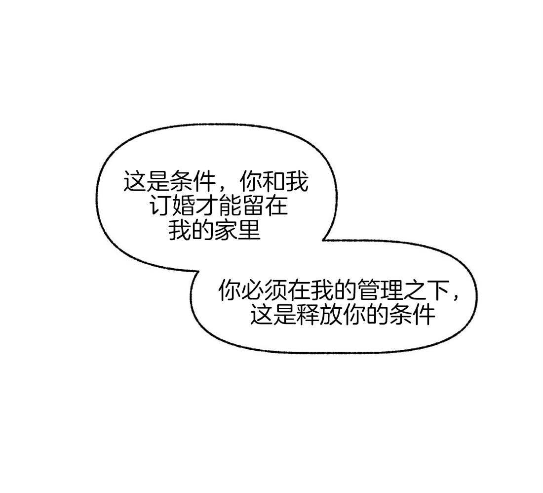 侍从的吃瓜修养第73话图