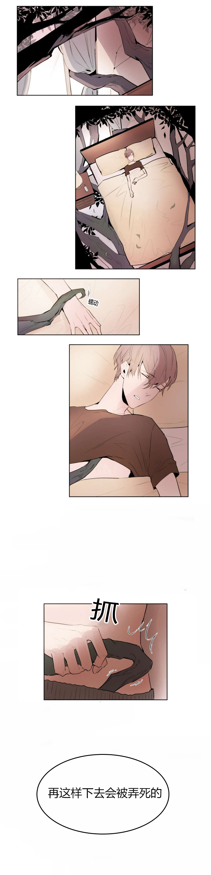 神奇的果实第1话图