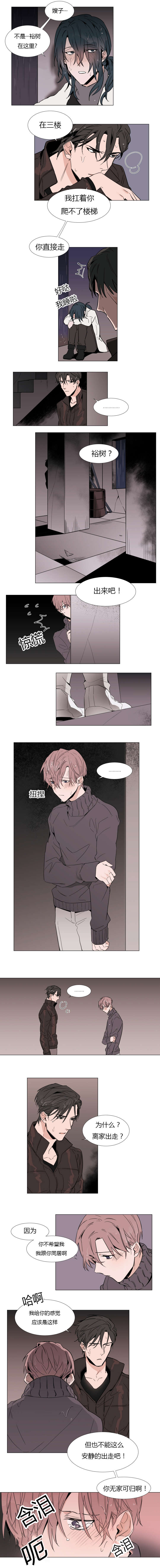 神奇的果实第12话图