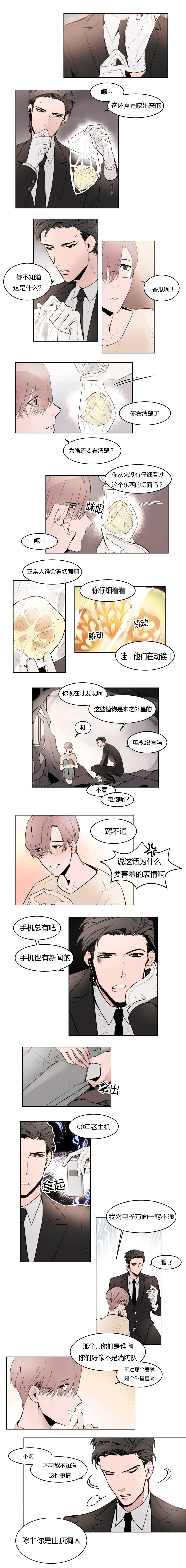 神奇的果实第2话图