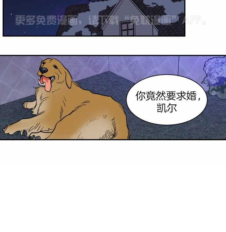 私人绯闻（共2季）第181话图